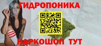 шишки Ликино-Дулёво