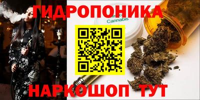 шишки Ликино-Дулёво