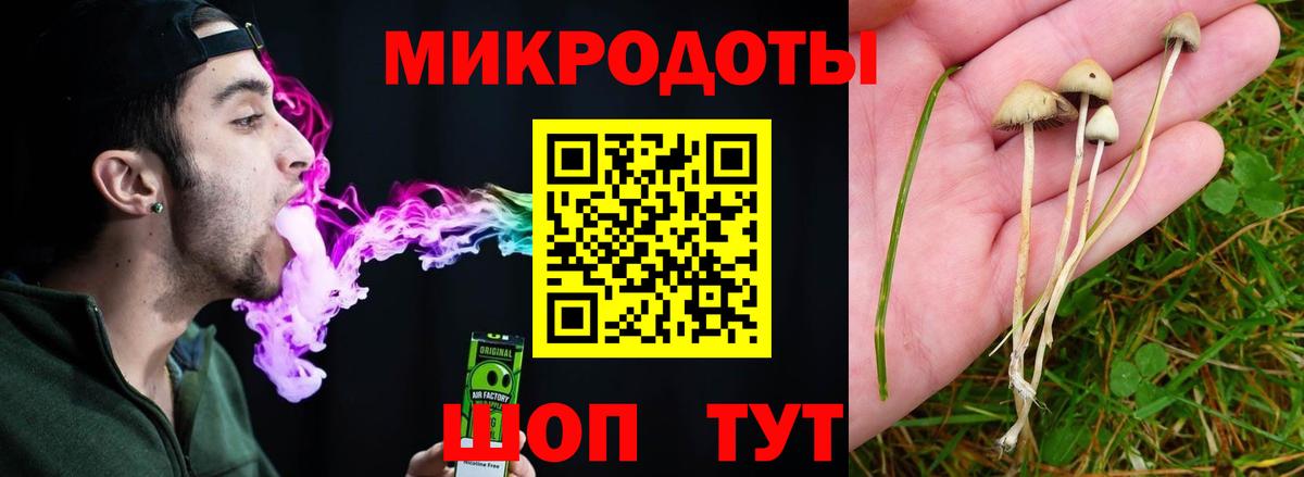 Шахты  Псилоцибиновые грибы Psilocybine cubensis  что такое наркотик  Вход с VPN 
